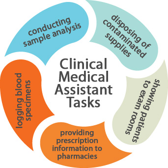 What do Clinical Medical Assistants do?